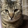 仲良し4兄弟♪ サムネイル6