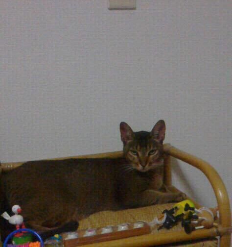 嵐砂（ランサー）