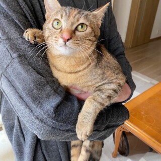 交通事故で下肢麻痺がある女の子