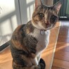 1歳半も過ぎて、とても大きくなりました。