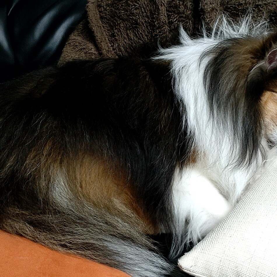 もこのカバー写真