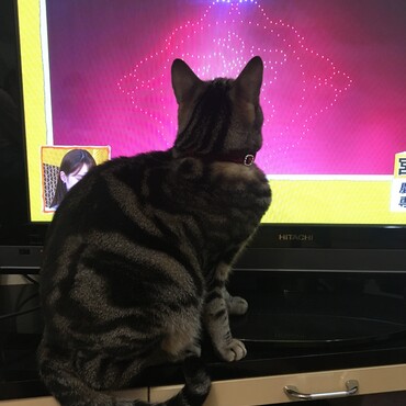 近っ！