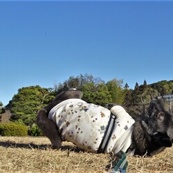 「やっぱり天才」サムネイル2