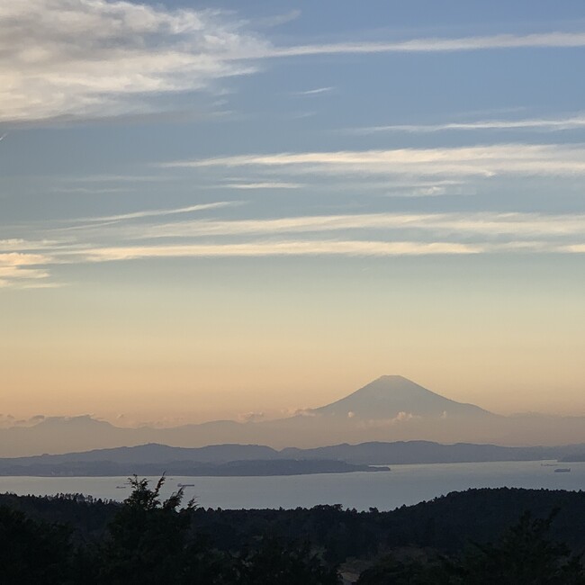 maitのカバー写真