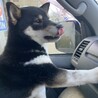 イチゴミルキー