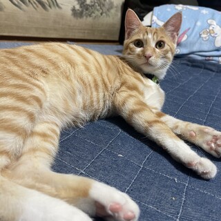 素敵なご家族に迎えていただきました☆駿くん