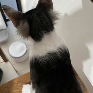 素敵なご家族と出会えました