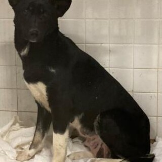 大雪の為2日間延長！1月27日迄！