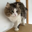 人懐っこい性格の男の子♡