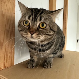 大人しい性格の男の子♡