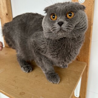 抱っこ好きの男の子♡