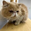 少し臆病な性格の男の子