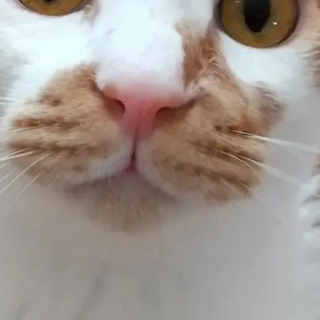 添い寝好きの8ヶ月の男の子