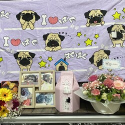 「報告」サムネイル2