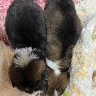 ぜひ、最後までお読みください