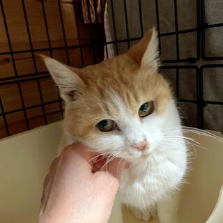 おっとりゴロゴロ　さらちゃん♡