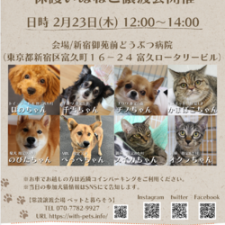 保護いぬねこ譲渡会