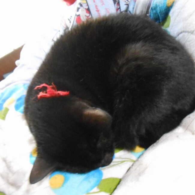 §サンジ§のカバー写真