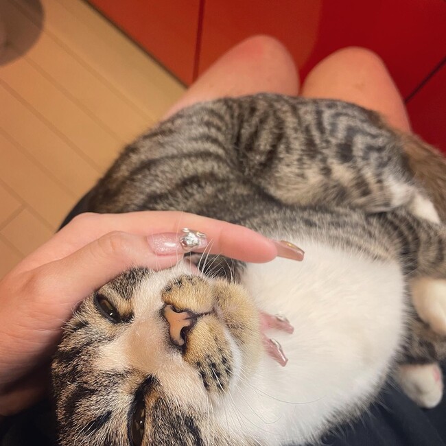 utakunのカバー写真