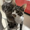 右の子がウタくんです