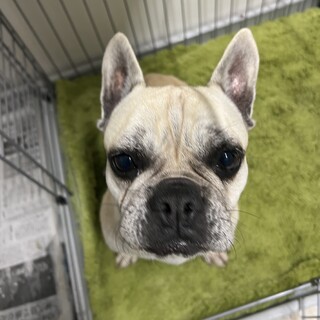 同じものを載せてしまったのでこちらは募集なし