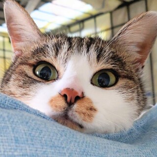 全然帰らなかったまるさん