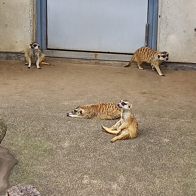 muzutanのカバー写真