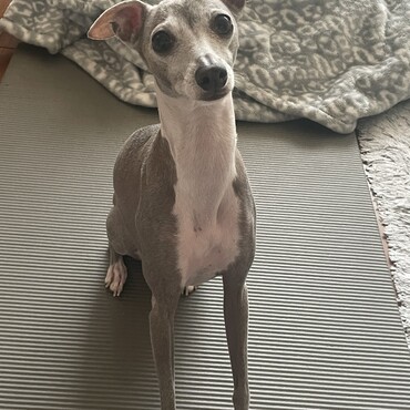 の写真