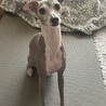 の写真