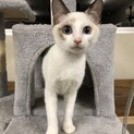 チャム子はとても甘えたさんです！