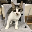 慎重派のカズちゃんです！