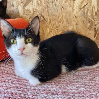 遊ぶのが大大大好き！★ミカンちゃん