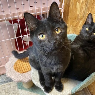 人懐っこさは天下一！！★マイクくん