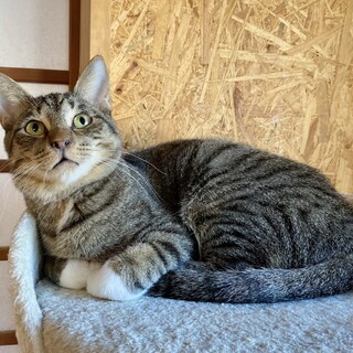 人が大大大好き！★ポテくん