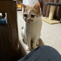 里親を探しています(名前:まる)