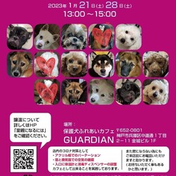 保護犬ふれあいカフェGUARDIAN 仔犬＆成犬譲渡会