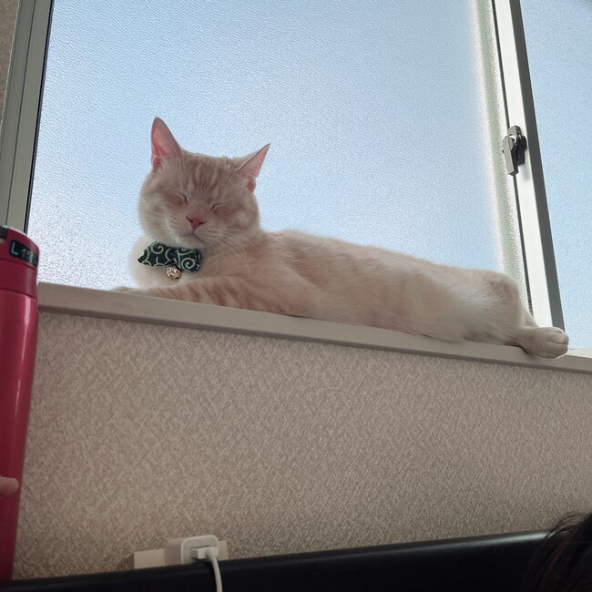 うなすママのカバー写真
