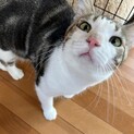 なでなで大好きカイリューくん【飛騨】