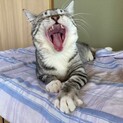 好奇心旺盛ヤドンくん【飛騨】