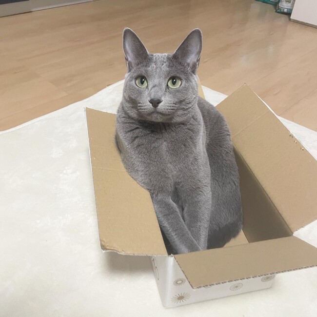 まい(*^_^*)のカバー写真