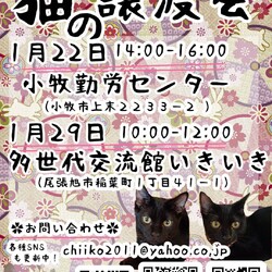 保護猫の譲渡会atいきいき