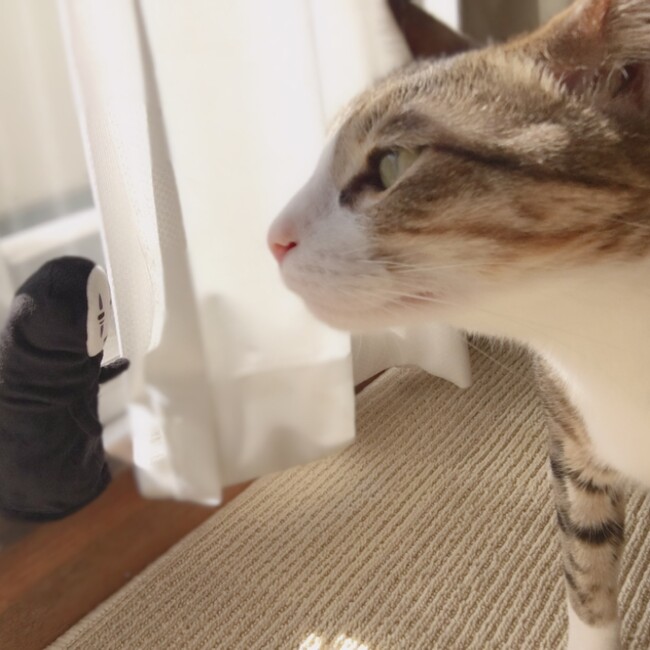 あるぴのカバー写真