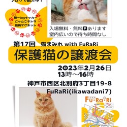 2/26日曜日!神戸【譲渡会】猫まみれ with FuRaRi 第17回