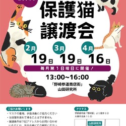 【野崎参道商店街】第35回保護猫の譲渡会