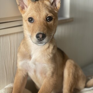 ひかえめな女の子☆