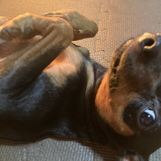 かわいい男の子