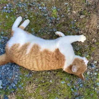 人懐っこくて、とっても優しい女の子♪