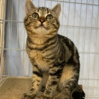 甘えん坊のあめくん