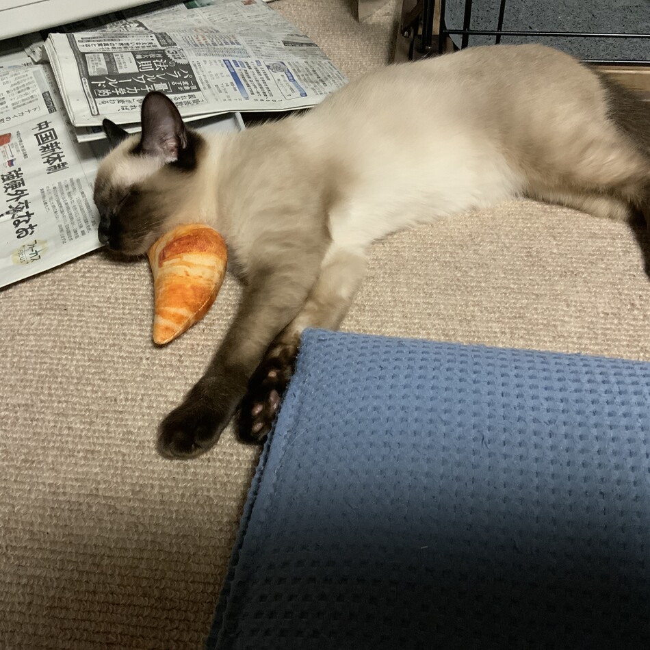ぽんずのカバー写真