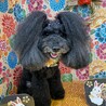 写真はモデル並みの笑顔をしてくれます